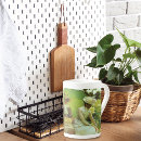 Recherche de lotus tasses Nénuphar