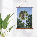 Recherche de palmiers photographie Tropiques