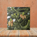 Recherche de puzzle carreaux Pour tous