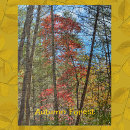 Recherche de automne photographie Toute personne