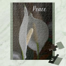 Recherche de peace photographie Paix