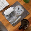 Recherche de rapace tapis souris Animaux