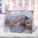 Recherche de turtle vœux cartes Tortue de mer