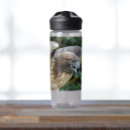 Zoek naar roofvogels waterflessen Natuur fotografie