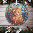 Zoek naar gekleurde ornamenten Kat