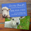 Recherche de agneau moutons cartes visite Laine