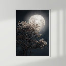 Zoek naar de boom van de bloesem posters Volle maan