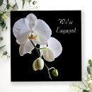 Recherche de orchidée blanche invitations Toute personne