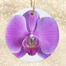 Recherche de orchidee ornamente Floral