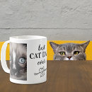 Recherche de minous tasses Pour lui