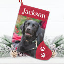 Zoek naar hond foto kerstsokken Kat