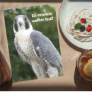 Recherche de faucons vœux cartes Animaux