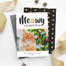 Zoek naar small cat kaarten For pets