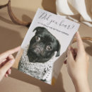 Recherche de de chien mariage invitations Amoureux des chiens