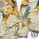 Zoek naar vintage vogels cadeaupapier Decoupage
