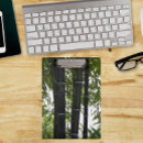 Recherche de tige photographie Plante