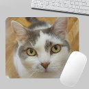 Recherche de photo chien tapis souris Moderne