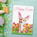 Zoek naar cute easter kaarten Konijnenoren