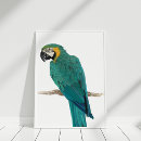 Recherche de perroquet bleu posters Oiseau tropical