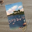 Zoek naar flamingo tissue papier Ontkoppeling