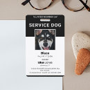 Recherche de assistance Chien d'assistance