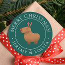 Recherche de animal capybara autocollants Cobaye