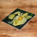Recherche de floral japonais carreaux Botanique