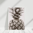 Zoek naar tropische vruchten posters Ananas