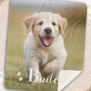 Recherche de golden retriever blankets Amoureux des chiens