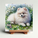 Recherche de chien blanc carreaux Dessin