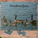 Recherche de oies puzzles Nature