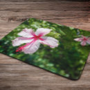 Recherche de hibiscus tapis souris Hawaii