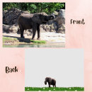 Zoek naar afrika kaarten Afrikaanse olifant