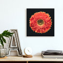Zoek naar flowers kunst Blossom