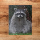 Recherche de raccoon puzzles Mignon