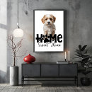 Recherche de chiens mignons posters De animal