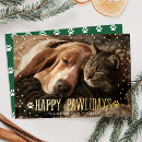 Recherche de compagnon vœux cartes Joyeux pawlidays