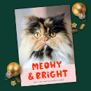 Recherche de christmas cat cartes postales Chat