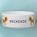 Recherche de cavalier king charles spaniel Chiot