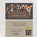 Recherche de petit chien cartes visite Soin des animaux