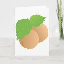 Recherche de abricots cartes postales Abricot orange