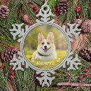 Recherche de image de chat Dogs