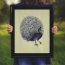 Recherche de paon vintage posters Nature