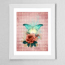 Recherche de vintage moth posters Nature