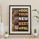 Recherche de pets posters Dogs