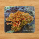 Recherche de champignon planches à découper Botanique