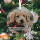 Recherche de chiots ornements Pour tous