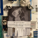 Recherche de chiot prospectus Doggenhaus