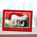 Recherche de porc noël cartes Mignon