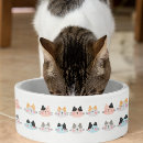 Zoek naar grappige kattenbenodigdheden For her